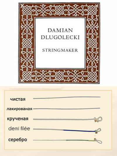 Dlugolecki    demi-filee, Damian Dlugolecki